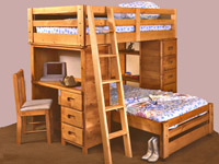 Bunkhouse Bronco